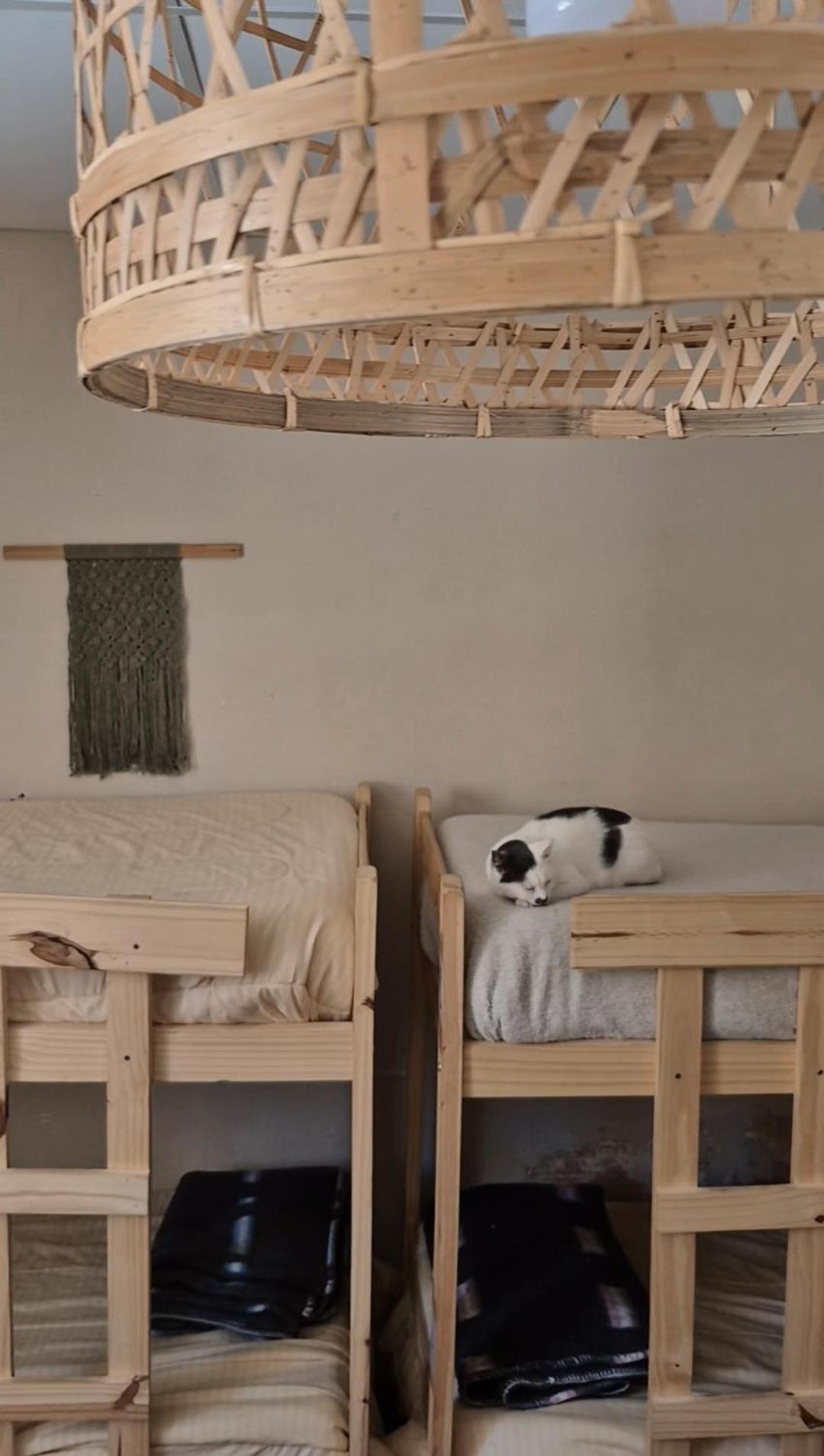Mestiza Hostal Humahuaca Eksteriør bilde
